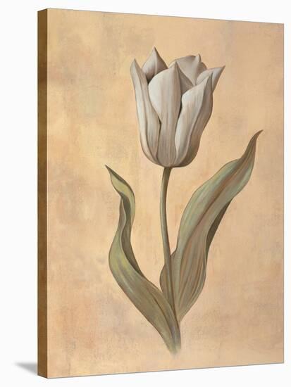 Tulip-Virginia Huntington-Stretched Canvas