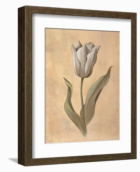 Tulip-Virginia Huntington-Framed Art Print