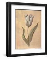 Tulip-Virginia Huntington-Framed Art Print