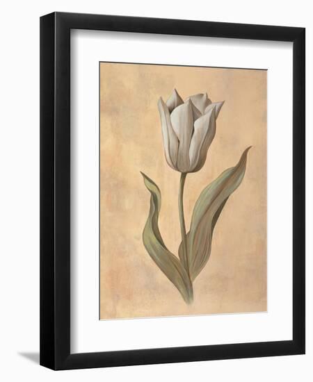 Tulip-Virginia Huntington-Framed Art Print