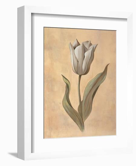 Tulip-Virginia Huntington-Framed Art Print