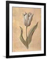 Tulip-Virginia Huntington-Framed Art Print