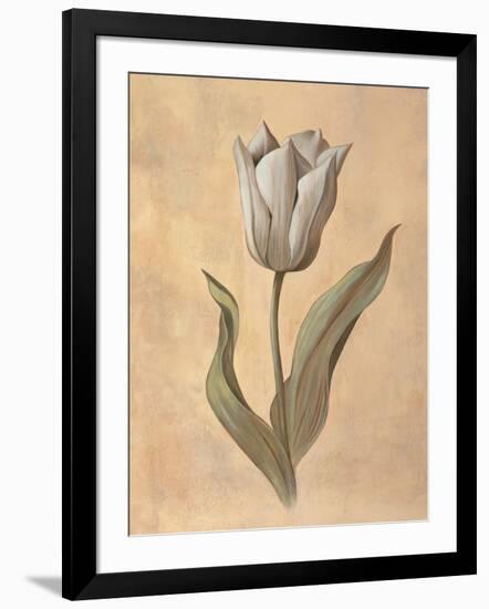 Tulip-Virginia Huntington-Framed Art Print