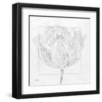 Tulipa 1-Diane Stimson-Framed Art Print