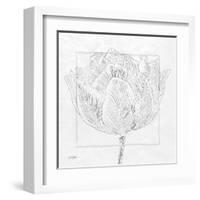 Tulipa 1-Diane Stimson-Framed Art Print