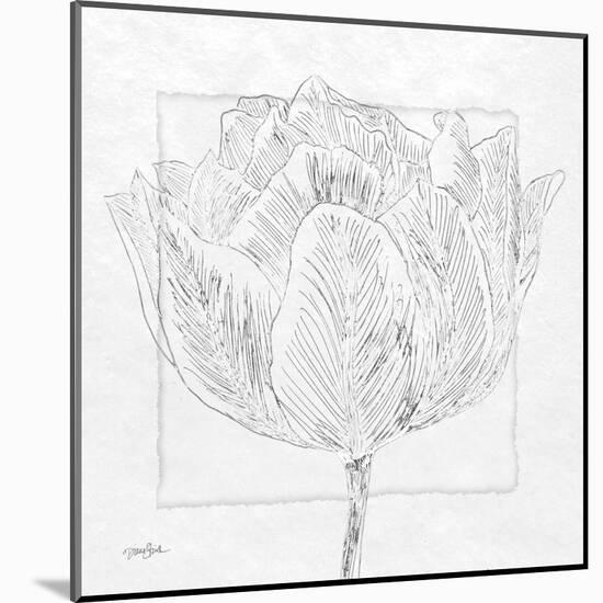 Tulipa 1-Diane Stimson-Mounted Art Print