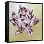 Tulipa, 2013-Odile Kidd-Framed Stretched Canvas