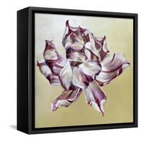 Tulipa, 2013-Odile Kidd-Framed Stretched Canvas