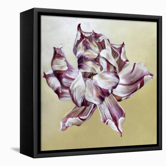 Tulipa, 2013-Odile Kidd-Framed Stretched Canvas