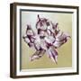 Tulipa, 2013-Odile Kidd-Framed Giclee Print