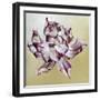 Tulipa, 2013-Odile Kidd-Framed Giclee Print