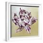 Tulipa, 2013-Odile Kidd-Framed Giclee Print