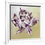 Tulipa, 2013-Odile Kidd-Framed Giclee Print