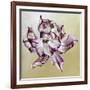 Tulipa, 2013-Odile Kidd-Framed Giclee Print