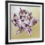 Tulipa, 2013-Odile Kidd-Framed Giclee Print