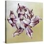 Tulipa, 2013-Odile Kidd-Stretched Canvas