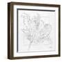 Tulipa 2-Diane Stimson-Framed Art Print