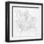 Tulipa 2-Diane Stimson-Framed Art Print