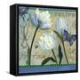 Tulipa Botanica-Fiona Stokes-Gilbert-Framed Stretched Canvas