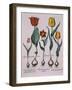 Tulipa, Engraving-Basilius Besler-Framed Giclee Print