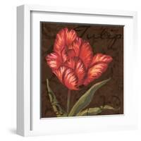 Tulipa I-Jillian Jeffrey-Framed Art Print