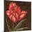 Tulipa I-Jillian Jeffrey-Mounted Art Print