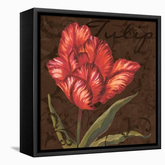 Tulipa I-Jillian Jeffrey-Framed Stretched Canvas