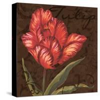 Tulipa I-Jillian Jeffrey-Stretched Canvas