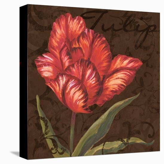 Tulipa I-Jillian Jeffrey-Stretched Canvas