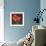 Tulipa I-Jillian Jeffrey-Framed Art Print displayed on a wall