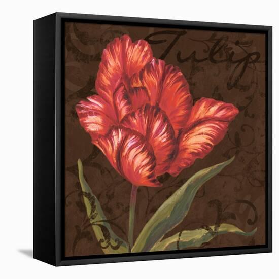 Tulipa I-Jillian Jeffrey-Framed Stretched Canvas