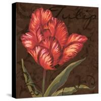 Tulipa I-Jillian Jeffrey-Stretched Canvas