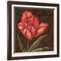 Tulipa I-Jillian Jeffrey-Framed Art Print