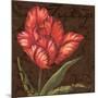 Tulipa I-Jillian Jeffrey-Mounted Art Print