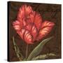 Tulipa I-Jillian Jeffrey-Stretched Canvas