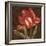 Tulipa II-Jillian Jeffrey-Framed Art Print