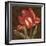 Tulipa II-Jillian Jeffrey-Framed Art Print