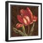 Tulipa II-Jillian Jeffrey-Framed Art Print