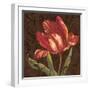 Tulipa II-Jillian Jeffrey-Framed Art Print