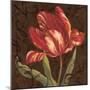 Tulipa II-Jillian Jeffrey-Mounted Art Print