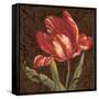Tulipa II-Jillian Jeffrey-Framed Stretched Canvas
