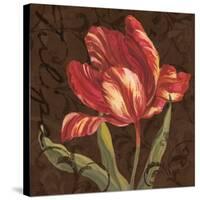 Tulipa II-Jillian Jeffrey-Stretched Canvas