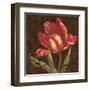 Tulipa II-Jillian Jeffrey-Framed Art Print