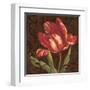 Tulipa II-Jillian Jeffrey-Framed Art Print