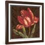 Tulipa II-Jillian Jeffrey-Framed Art Print