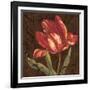 Tulipa II-Jillian Jeffrey-Framed Art Print