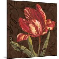 Tulipa II-Jillian Jeffrey-Mounted Art Print