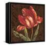 Tulipa II-Jillian Jeffrey-Framed Stretched Canvas