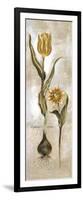 Tulipa Violoncello VI-Augustine-Framed Giclee Print