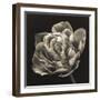 Tulipana Still-Assaf Frank-Framed Giclee Print